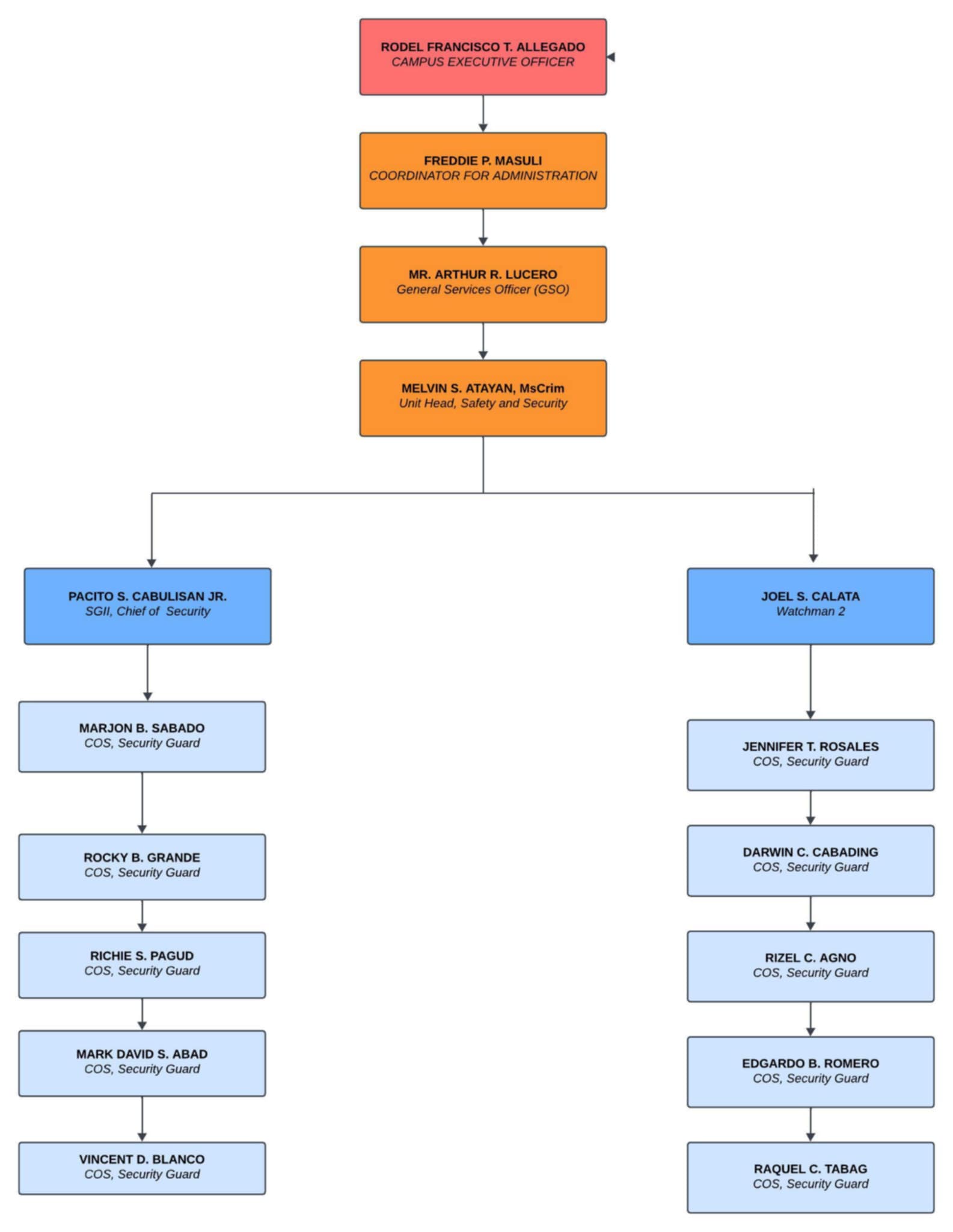 Organization Structure